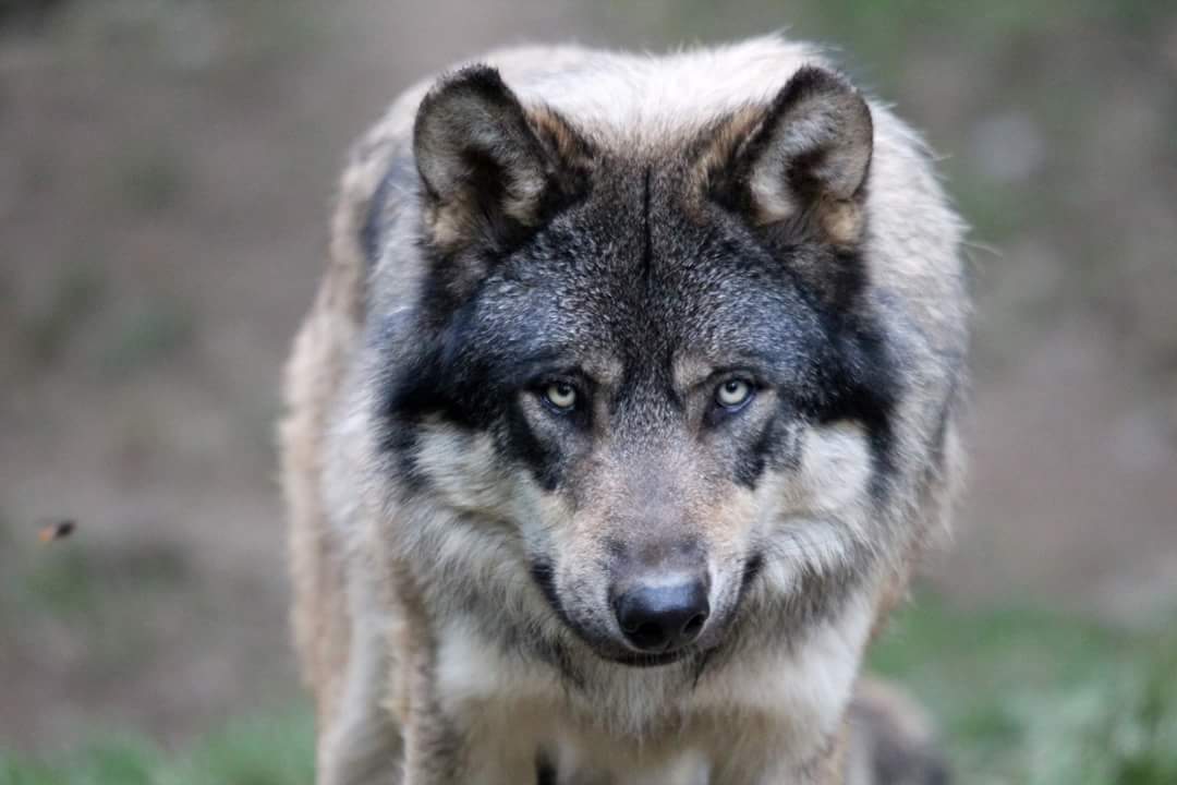 Photo n° 2 de l'avis de yolande.r fait le 24/10/2023 à 19:14