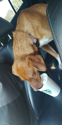 Coffee Shop «Starbucks», reviews and photos, 2021 KY-192, London, KY 40741, USA