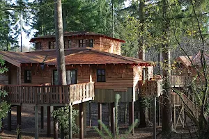 The Treehouses image