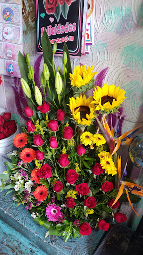 Floristeria la reyna – Ecatepec de Morelos