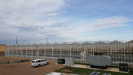 Sunshine Greenhouses Ltd (County Facility)