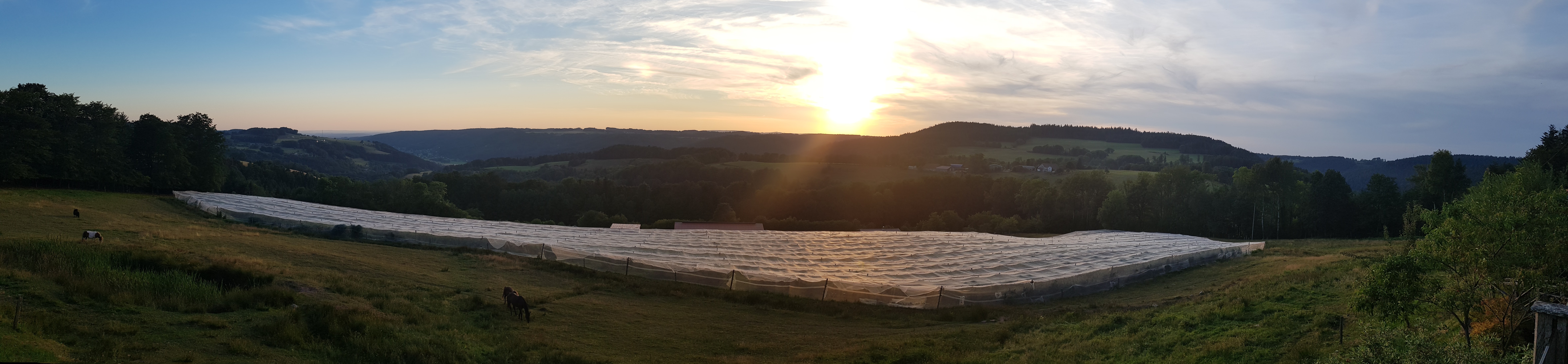 Photo n° 7 de l'avis de Damien.e fait le 19/07/2019 à 21:08