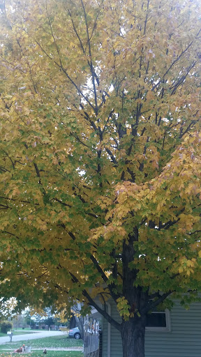 Funeral Home «Minor-Morris Funeral Home», reviews and photos, 112 Richards St, Joliet, IL 60433, USA