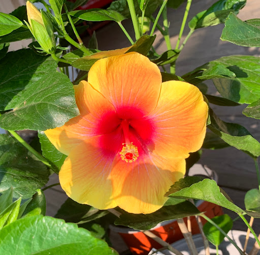 Animal Feed Store «Mid-County Farm & Feed Supply», reviews and photos, 128 S Twin City Hwy, Nederland, TX 77627, USA