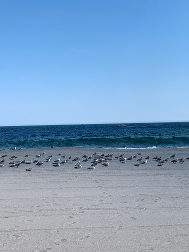 Donut Shop «Top That! Donuts», reviews and photos, 210 Ocean Ave, Point Pleasant Beach, NJ 08742, USA