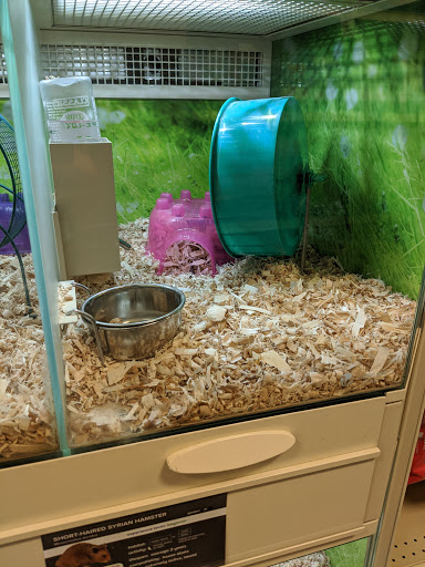 Pet Supply Store «PetSmart», reviews and photos, 30515 Av. de Las Flores, Rancho Santa Margarita, CA 92688, USA