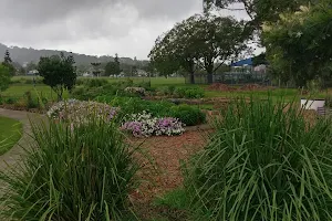 Lismore Community Garden image