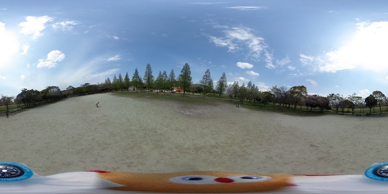 洞北緑地 福岡県北九州市本城 公園 公園 グルコミ