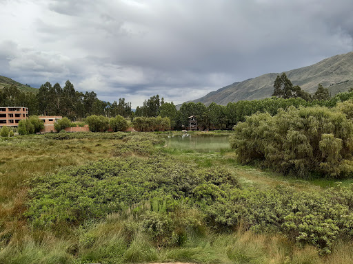 Bosque ENTS Atractivo Turistico y Ecologico en Cusco