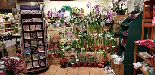 Grocery Store «The Fresh Market», reviews and photos, 12131 Jefferson Ave, Newport News, VA 23602, USA