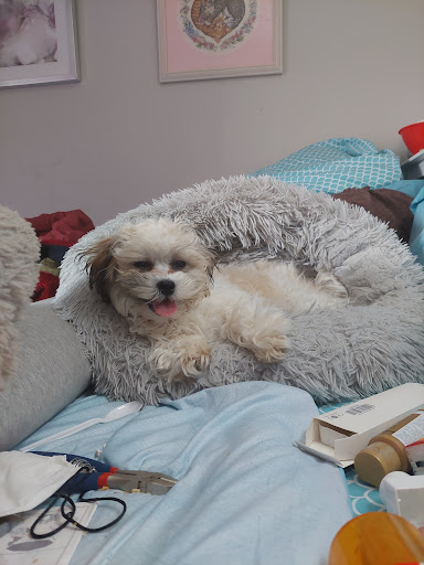 Pet Supply Store «PetSmart», reviews and photos, 8014 Old Carriage Ct, Shakopee, MN 55379, USA