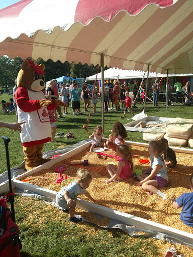 Auto Insurance Agency «State Farm: Laura Whitney», reviews and photos