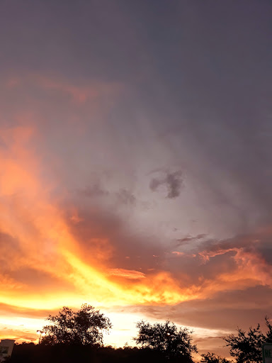 Grocery Store «Lowes Foods of Murrells Inlet», reviews and photos, 11903 SC-707, Murrells Inlet, SC 29576, USA