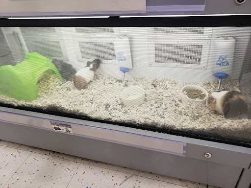 Pet Supply Store «Petco Animal Supplies», reviews and photos, 12801 Chenal Pkwy, Little Rock, AR 72211, USA