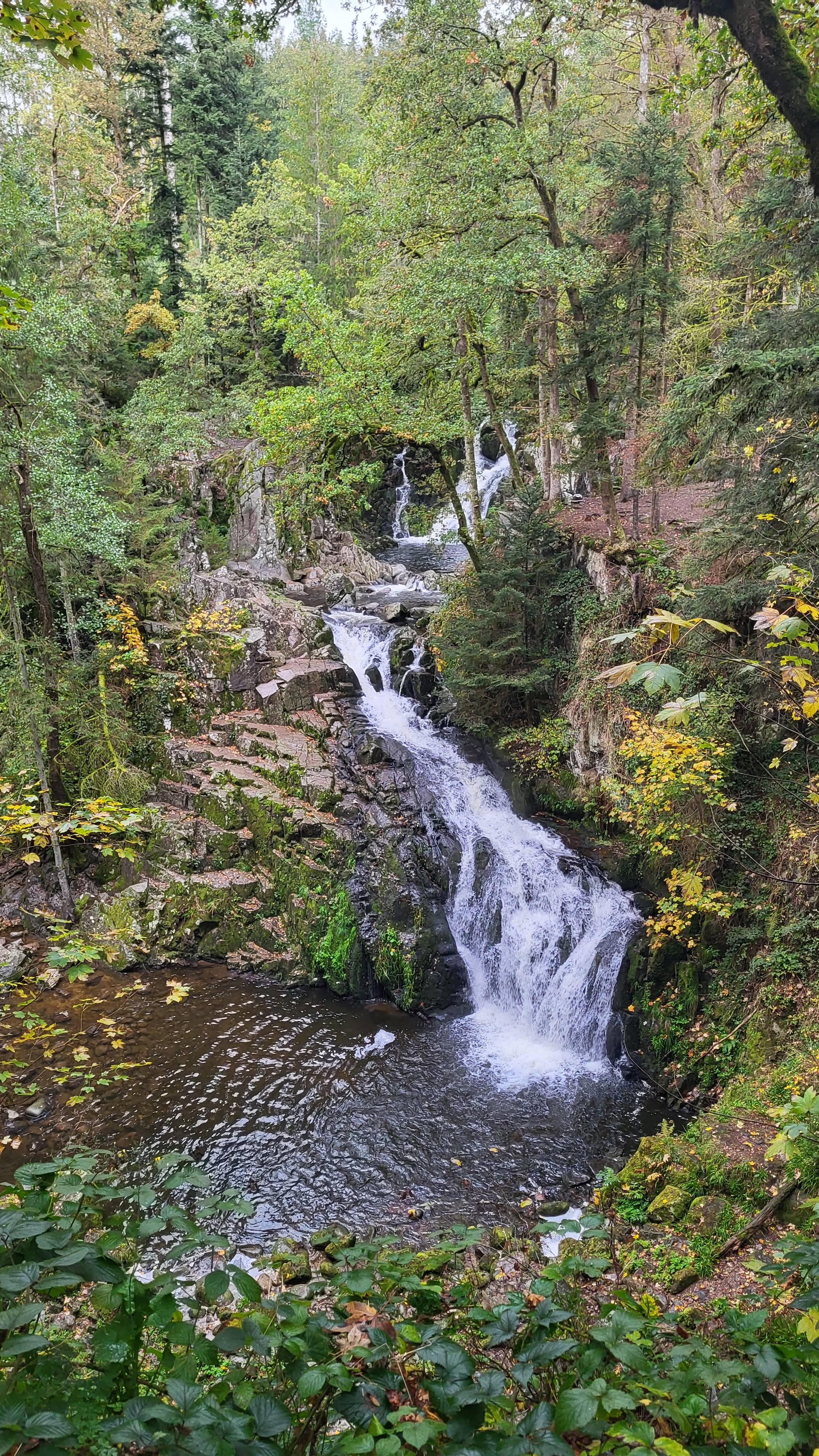 Photo n° 1 de l'avis de Jordan.a fait le 24/10/2023 à 21:40