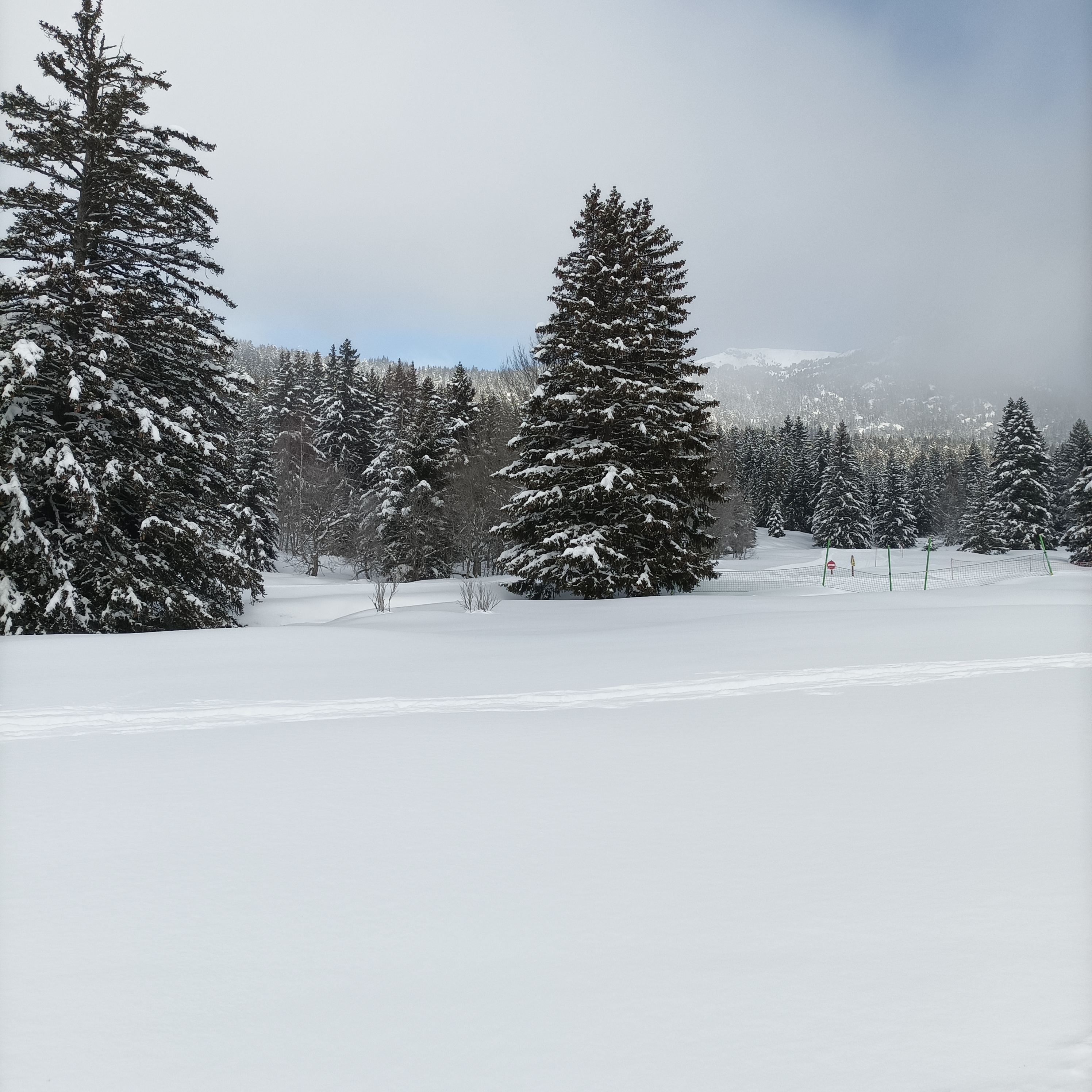Photo n° 9 de l'avis de Rodolphe.o fait le 16/01/2022 à 21:06