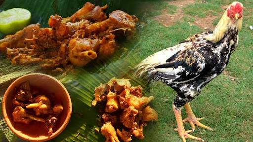 Amman Broilers