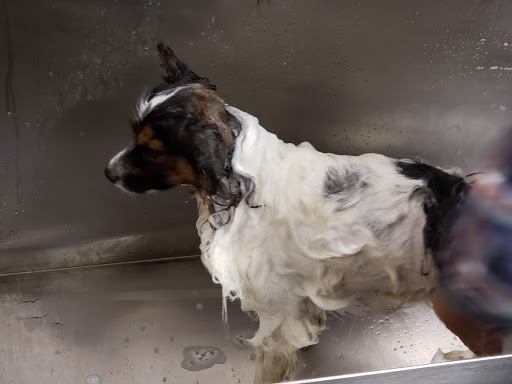 Pet Supply Store «Lemos Feed & Pet Supply», reviews and photos, 1320 Main St, Morro Bay, CA 93442, USA