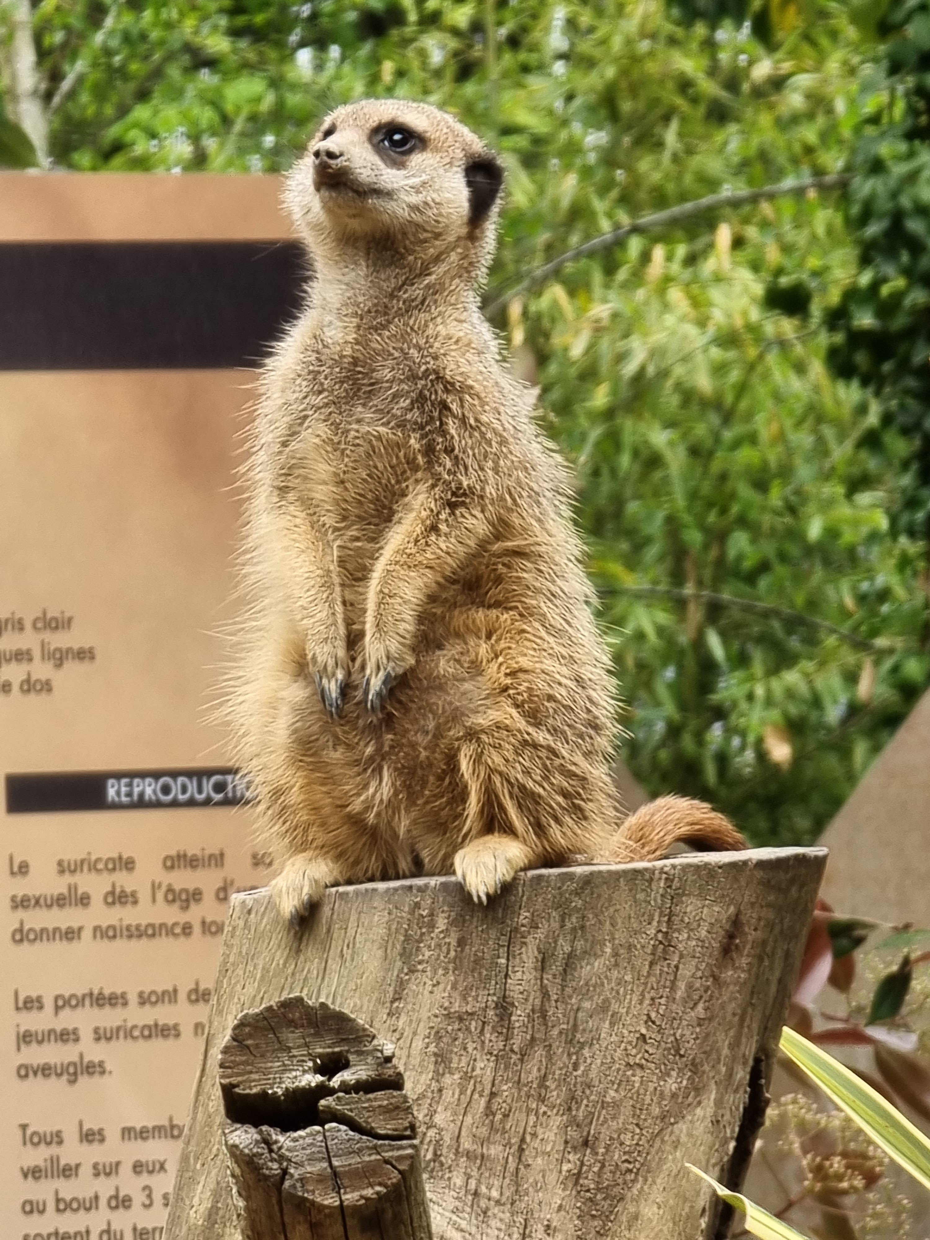 Photo n° 10 de l'avis de Noel.l fait le 12/04/2022 à 13:30