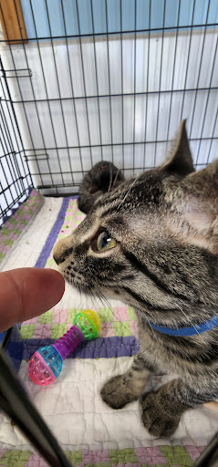 Pet Supply Store «Healthy Pet Center», reviews and photos, 237 N Greenbush Rd, Troy, NY 12180, USA