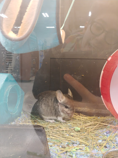 Pet Supply Store «PetSmart», reviews and photos, 5640 Cedar Lake Rd, Minneapolis, MN 55416, USA