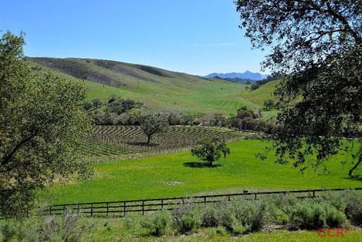 Paige Kaye, Santa Barbara Broker image