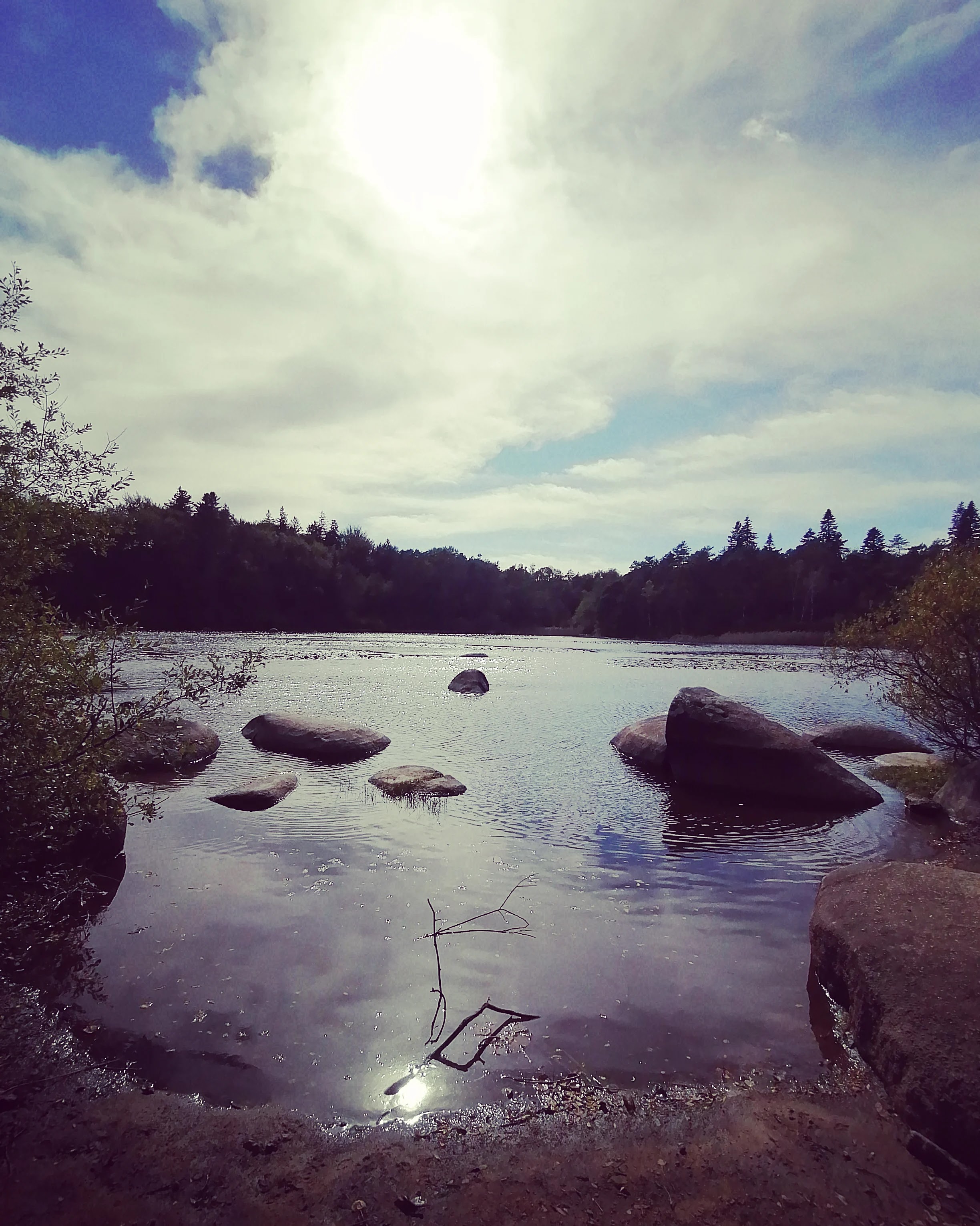 Photo n° 2 de l'avis de Celine.a fait le 04/10/2021 à 20:21