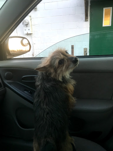 Car Dealer «WARWICK AUTOPARK», reviews and photos, 700 Furnace Hills Pike, Lititz, PA 17543, USA