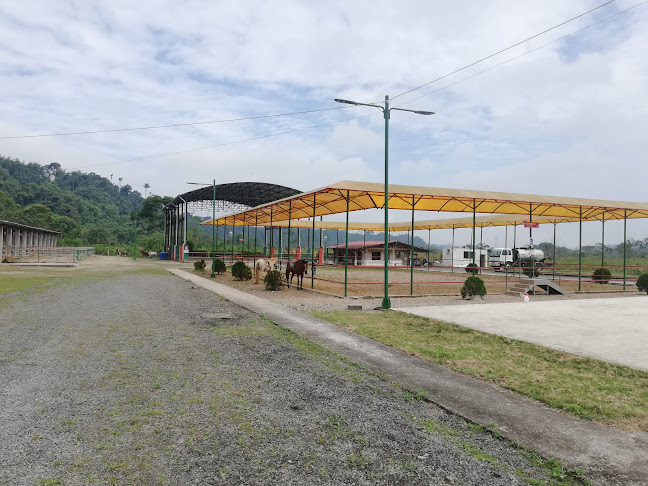 Unnamed Road, Santo Domingo, Ecuador