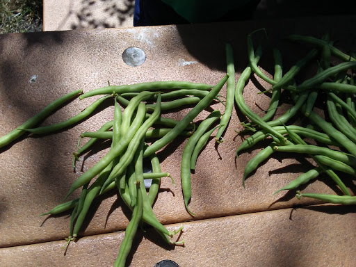 Park «Stango Park», reviews and photos, 114 E. Third Street, Lewes, DE 19958, USA