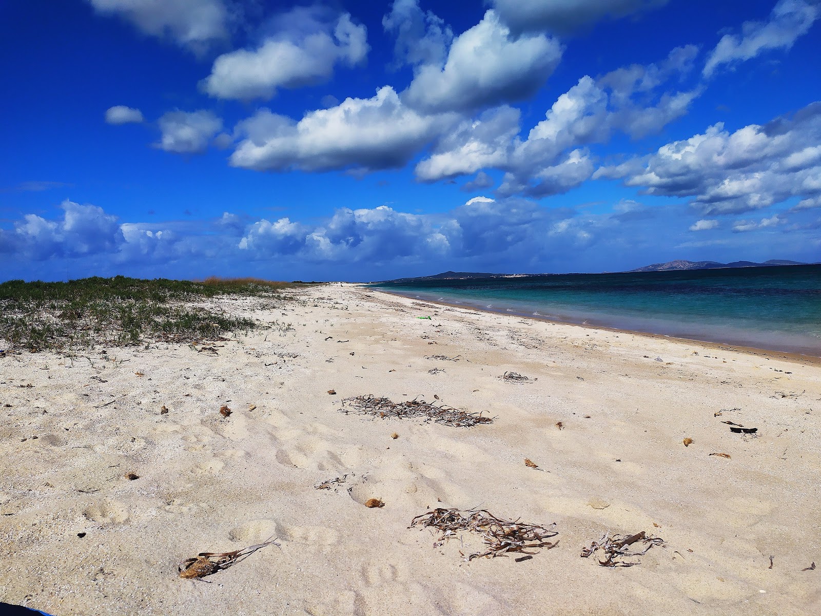 Foto von Spiaggia di Stagno di Pilo - guter haustierfreundlicher Ort für den Urlaub