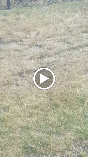 Amusement Park «Adventureland Family Fun Park», reviews and photos, 112 Point Judith Rd, Narragansett, RI 02882, USA