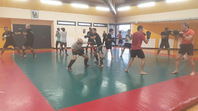Club MMA, JJB, Boxe & Judo | Fight Spirit à Saint-Laurent-de-Chamousset
