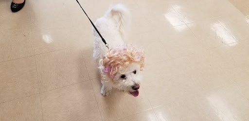 Pet Supply Store «Petco Animal Supplies», reviews and photos, 1483 NJ-23 #14b, Kinnelon, NJ 07405, USA