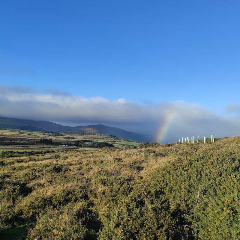 Sugar Loaf