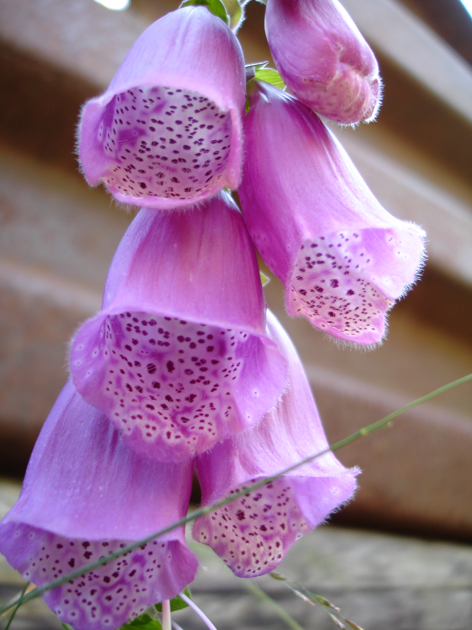 Photo n° 4 de l'avis de Laugal.a fait le 16/04/2023 à 17:05