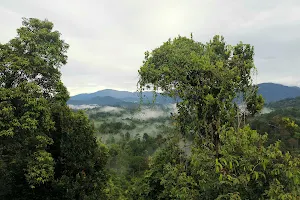 Bukit Batu Chondong image