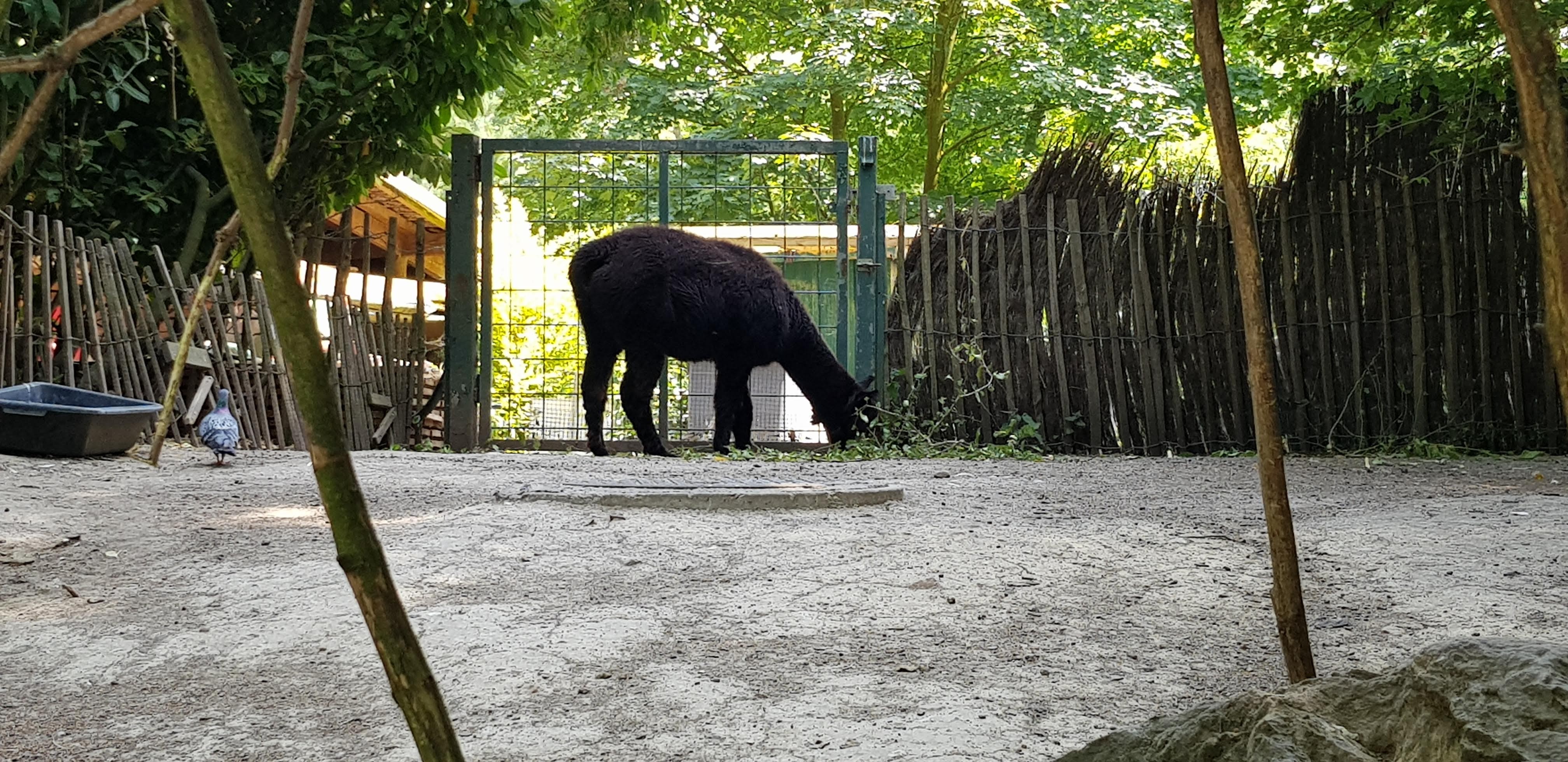 Photo n° 47 de l'avis de Nuk3d.t fait le 13/10/2019 à 18:58