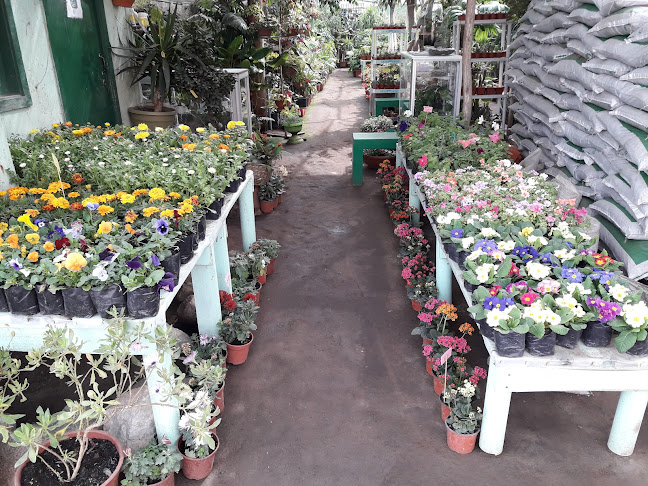 Vivero Vida Verde - Antofagasta