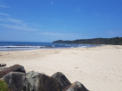 Photo de Plage du Pilote avec un niveau de propreté de très propre