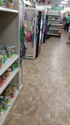 Dollar Store «Dollar Tree», reviews and photos, 352 Central Ave, East Orange, NJ 07018, USA