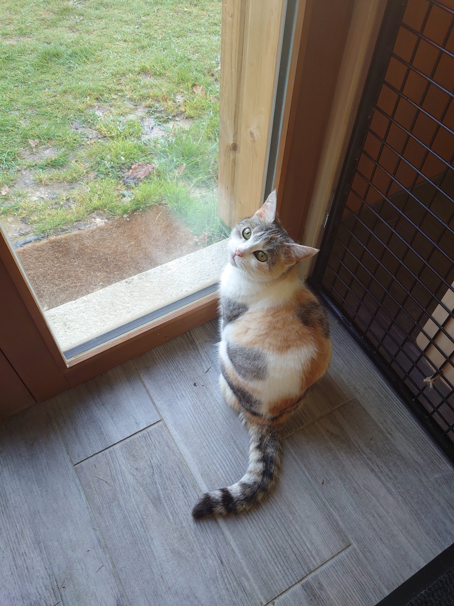 Photo n° 9 de l'avis de Nicolas.a fait le 01/06/2023 à 12:54