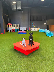 PawPals Playcare