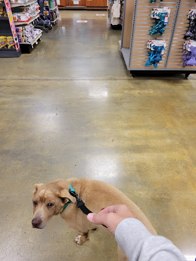 Pet Supply Store «PetSmart», reviews and photos, 745 W Huntington Dr, Monrovia, CA 91016, USA