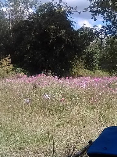 Nature Preserve «Foster Floodplain Natural Area», reviews and photos, 10602 SE Foster Rd, Portland, OR 97266, USA