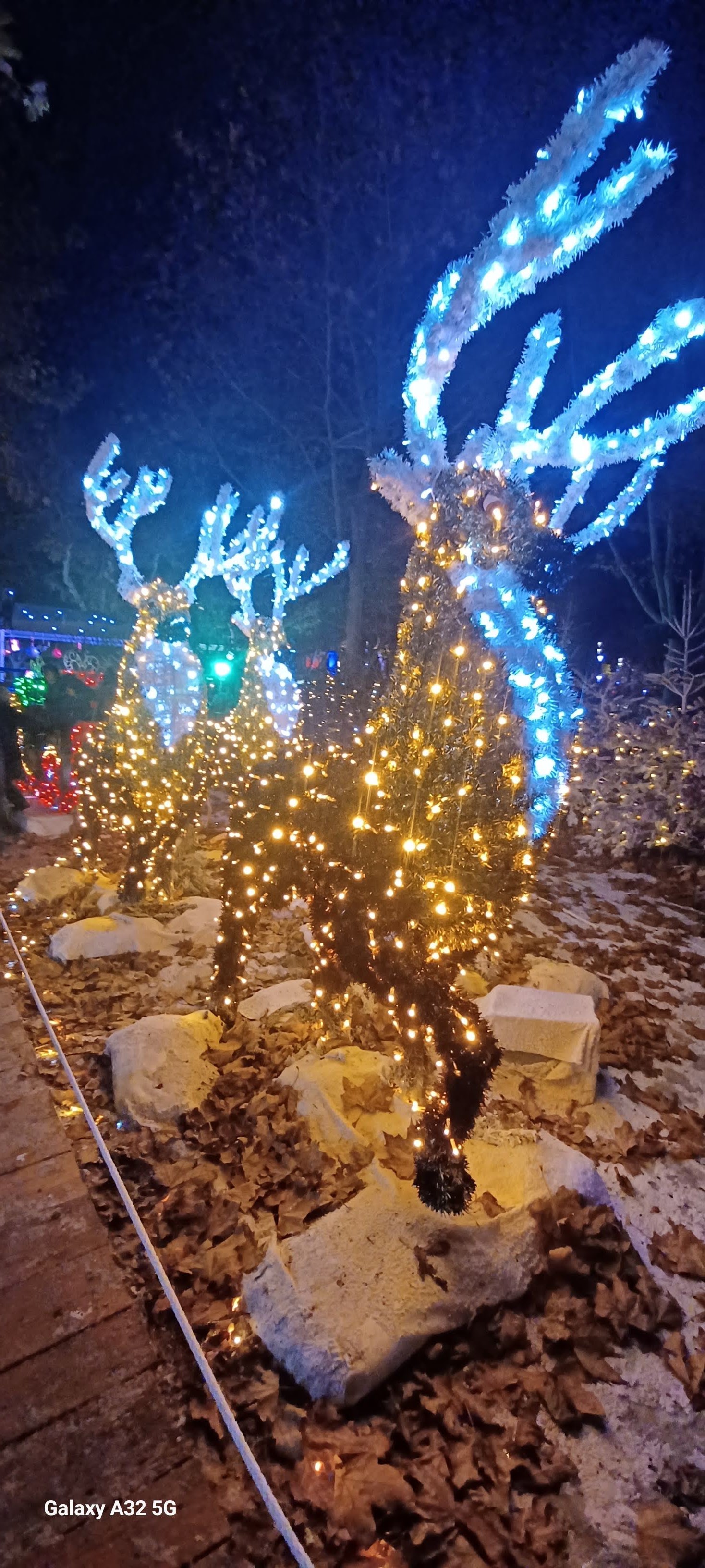 Photo n° 13 de l'avis de Virginie.l fait le 12/12/2023 à 22:26