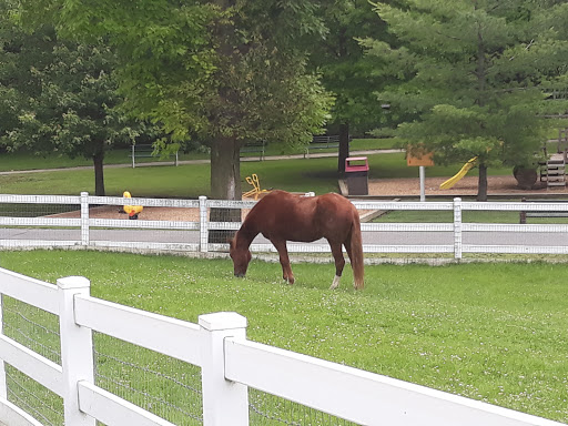 Heritage Museum «The Amish Farm and House», reviews and photos, 2395 Covered Bridge Dr, Lancaster, PA 17602, USA