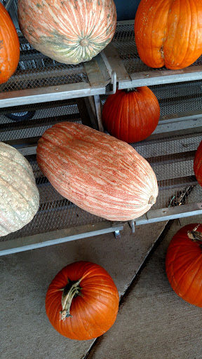 Produce Market «Miller Farms», reviews and photos, 10140 Piscataway Rd, Clinton, MD 20735, USA