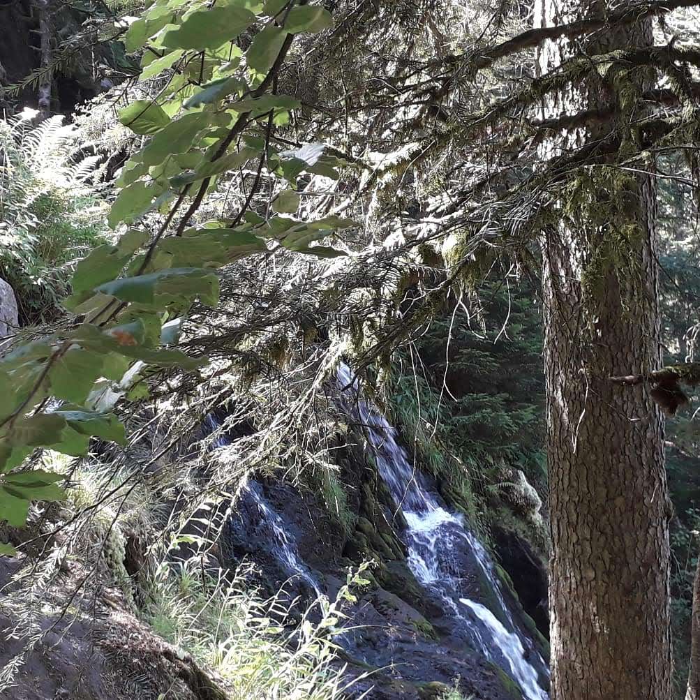 Photo n° 11 de l'avis de Pascal.O fait le 16/07/2019 à 14:03