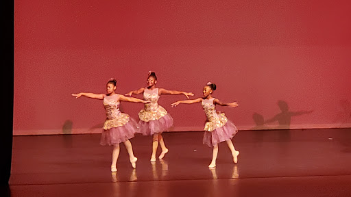 Performing Arts Theater «Carl J. Murphy Fine Arts Center», reviews and photos, 2201 Argonne Dr, Baltimore, MD 21218, USA